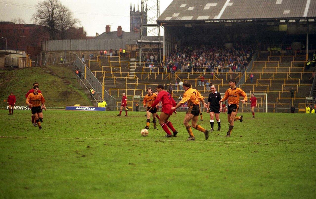 Wolves roundup: two draws, a Brighton defeat and a table still taking shape